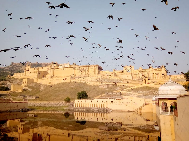 Experience 3 Days Tour to Jaipur from Delhi