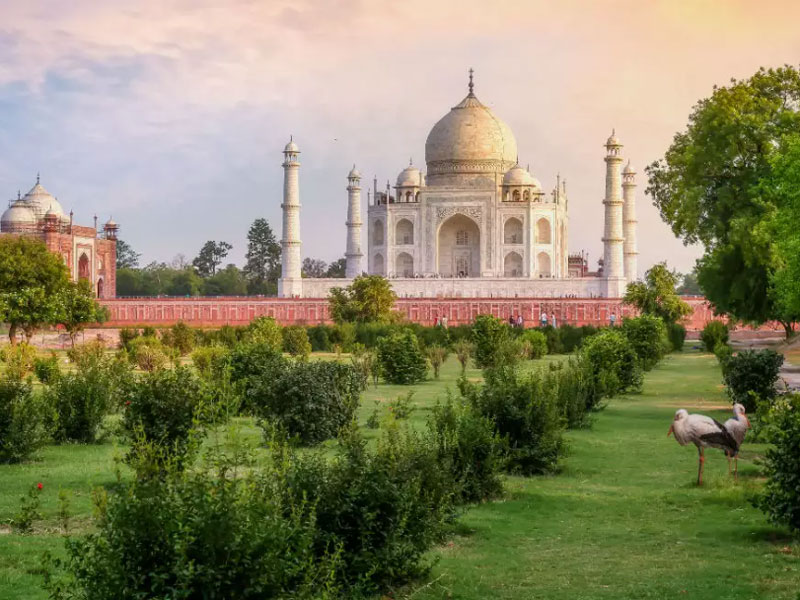 Book Delhi to Agra Tour Package by Car at Best Price
